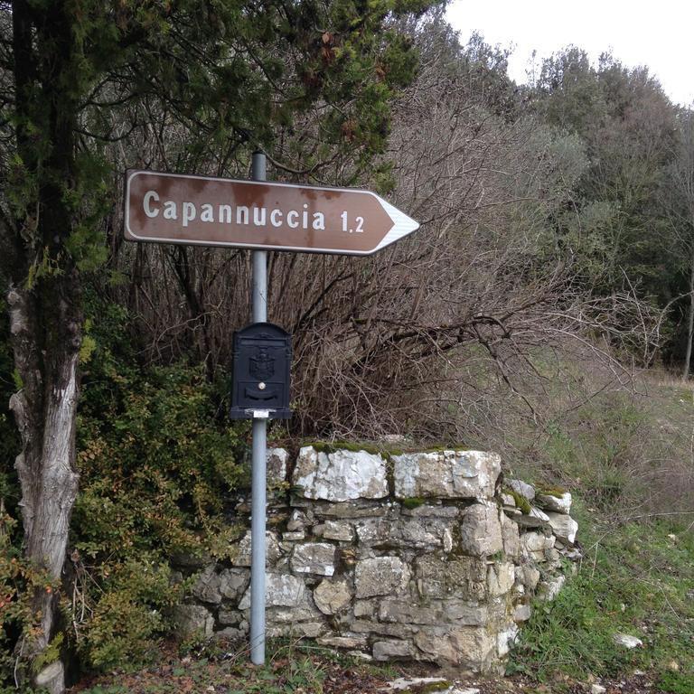Villa Capannuccia Castellina in Chianti Esterno foto