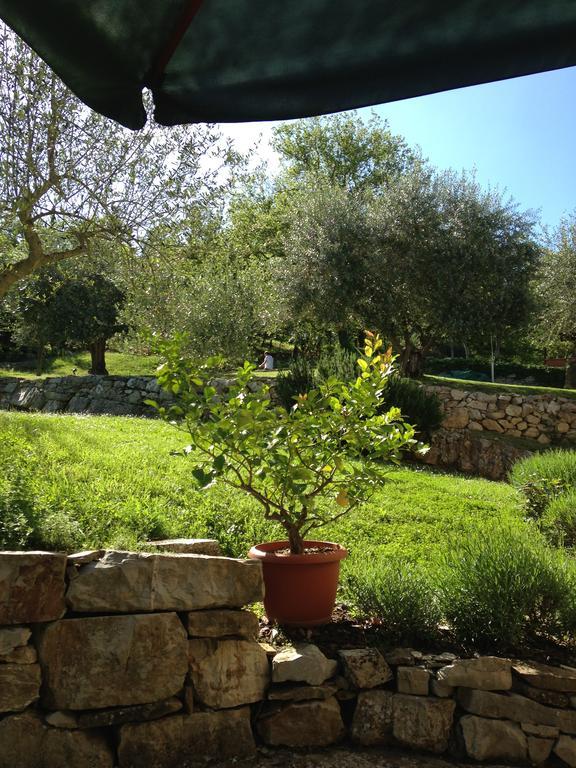 Villa Capannuccia Castellina in Chianti Esterno foto
