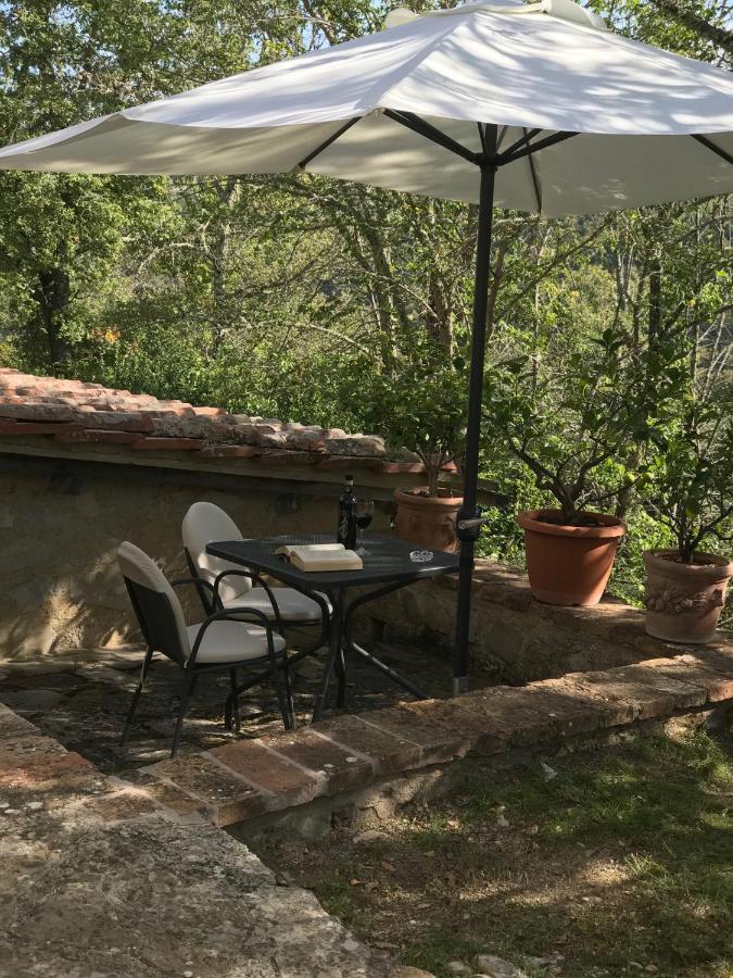 Villa Capannuccia Castellina in Chianti Esterno foto